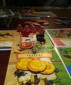 Alternative view of Imperial Settlers