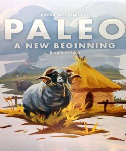 Alternative view of Paleo